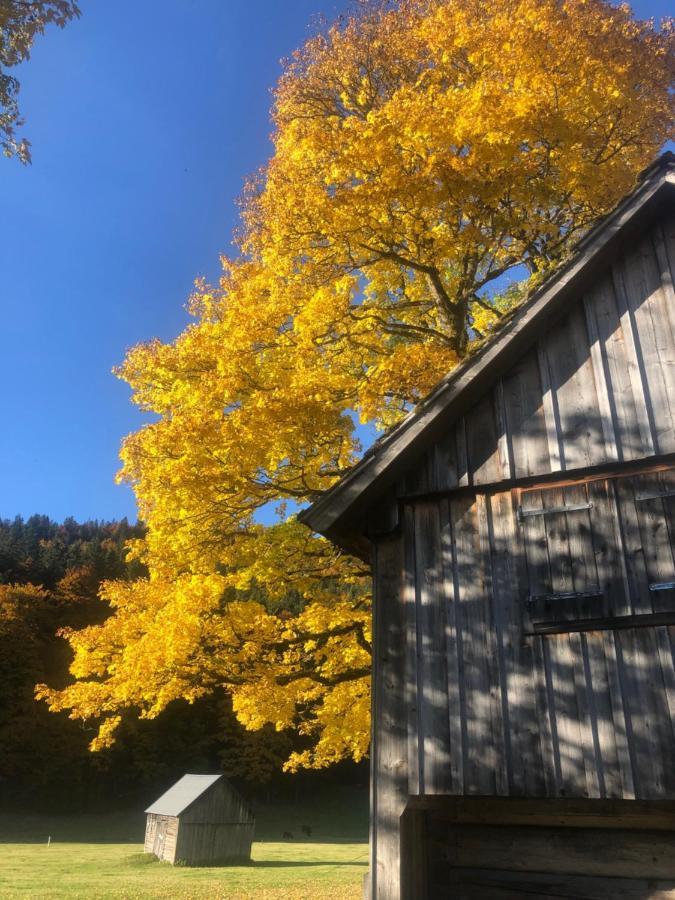 Die Alte Blaa Altaussee Exterior foto