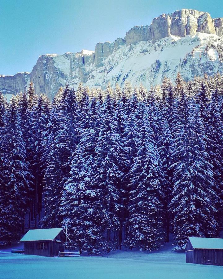 Die Alte Blaa Altaussee Exterior foto
